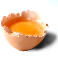 aufgeschlagenes Ei mit Dotter und Eiweiß